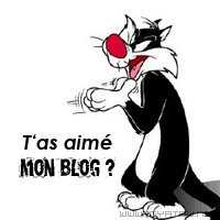 EST-IL BAD MON BLOG ?